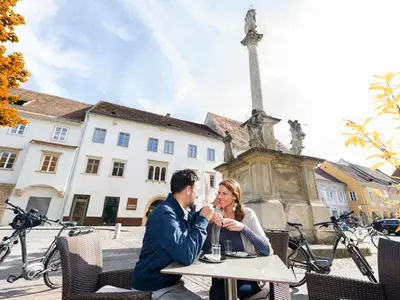Hotel für 2 Personen (43 m²) in Bad Radkersburg 6/10