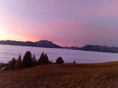 Hotel für 4 Personen (30 m²) in Berg im Drautal 9/10