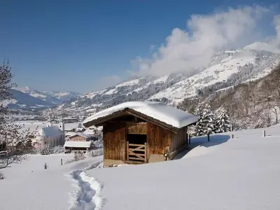 Hotel für 3 Personen (25 m²) in Brixen im Thale 6/10