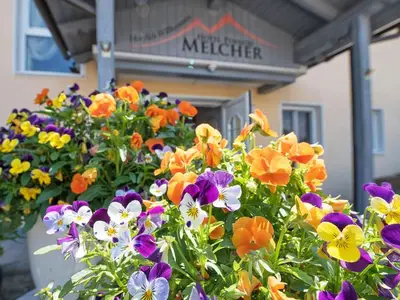 Hotel für 4 Personen (31 m²) in Villach 3/10