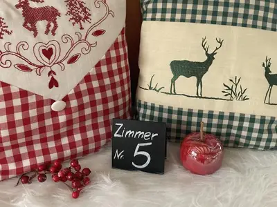 Hotel für 3 Personen (15 m²) in Eibenstock 9/10