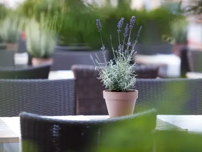 Hotel für 3 Personen (30 m²) in Feldbach 7/10