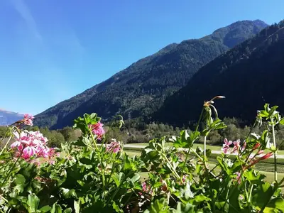 Hotel für 4 Personen (40 m²) in Flattach 5/10