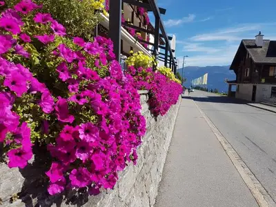 Hotel für 3 Personen in Flims 5/10