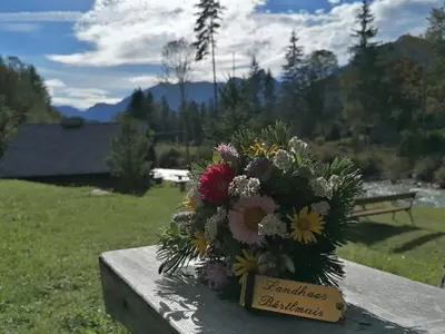 Hotel für 4 Personen (40 m²) in Hinterstoder 9/10