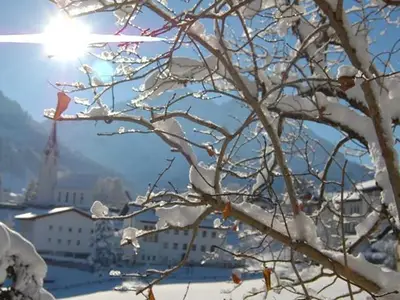 Hotel für 3 Personen (30 m²) in Hirschegg (Vorarlberg) 4/10