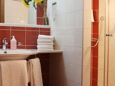 Hotel für 3 Personen (23 m²) in Höfen in Tirol 8/10