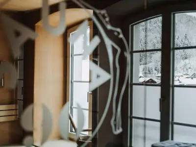 Hotel für 4 Personen (30 m²) in Mellau 3/10