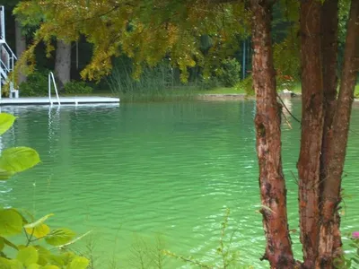 Hotel für 4 Personen (31 m²) in Schiefling am See 5/10