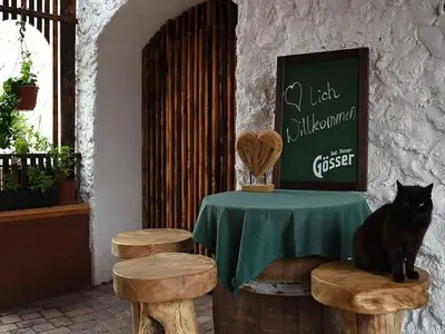 Hotel für 4 Personen (28 m²) in Hermagor-Pressegger See 10/10