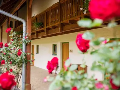 Hotel für 3 Personen (25 m²) in Tieschen 3/10
