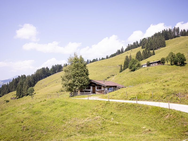 24019641-Hütte-6-Walchsee-800x600-0