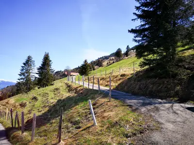 Abweiger richtung Weidhütte Wegscheide