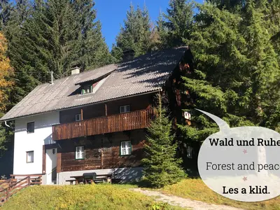 Nockstern Hütte Wald und Ruhe