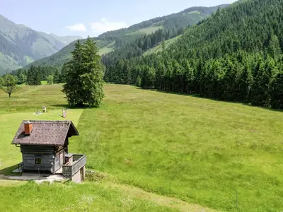 DJI_0445