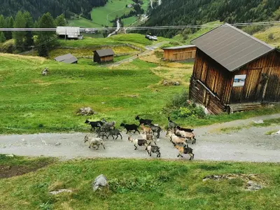 Gaislach