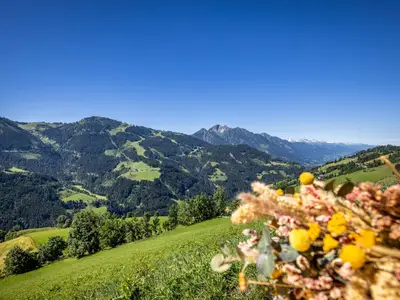 Unterkunft mieten für den Sommerurlaub