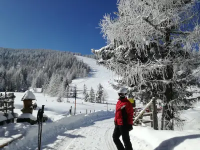 Schispass