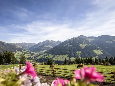 Hütte_Alpenherz_alpbachtal_balkonaussicht