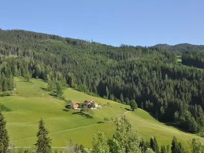 DAS "ZwisleggGut"