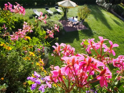 Junior Suite für 2 Personen in Bad Krozingen 6/10