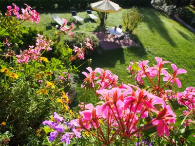 Junior Suite für 2 Personen in Bad Krozingen 6/10