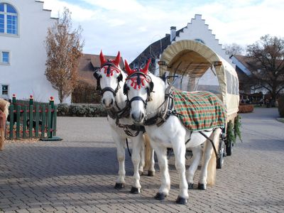 Junior Suite für 2 Personen in Dettighofen 7/10