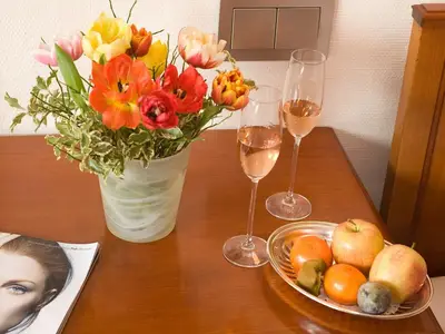 Junior Suite für 2 Personen in Freiburg im Breisgau 8/8