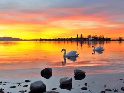 Sonnenuntergang Bodensee