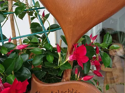 Junior Suite für 2 Personen in Plank am Kamp 5/5