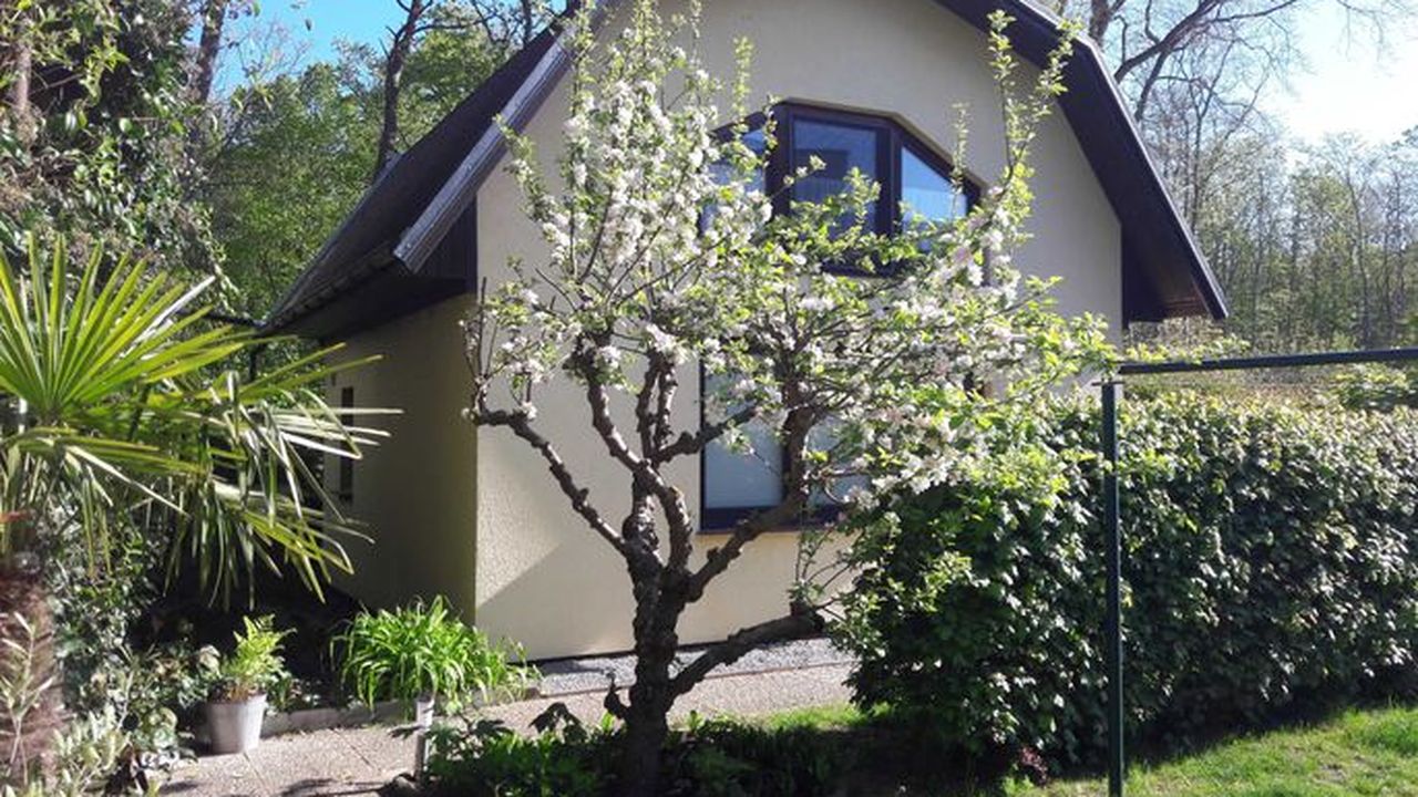 Ferienhaus - für 4 Personen (60m²)