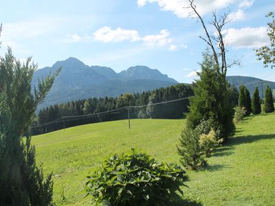 Im Sommer säumt den Hainbuchhof grüne Idylle mit viel Ruhe und Harmonie!