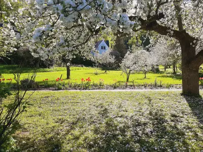 Mehrbettzimmer für 2 Personen (12 m²) in Bad Freienwalde 2/10