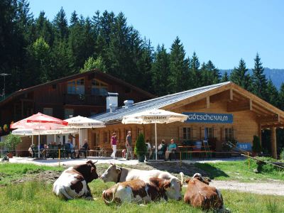 Götschenalm im Sommer