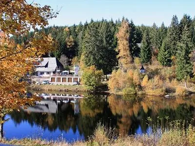 Mehrbettzimmer für 4 Personen in Dachsberg 9/10