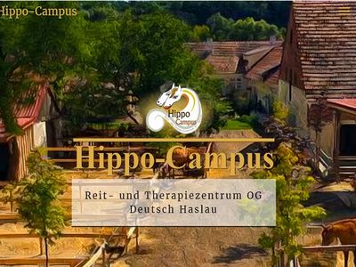 hippo-campus