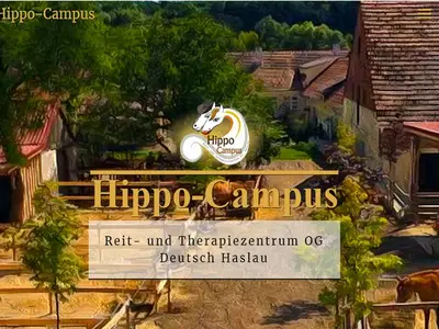 Hippo Campus, Logo