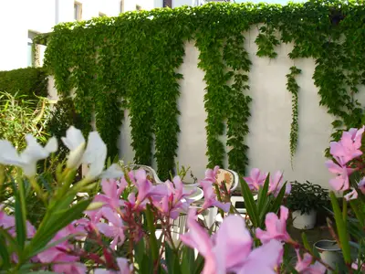 Mehrbettzimmer für 3 Personen in Dresden 1/4