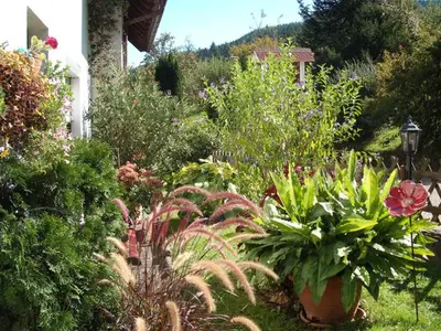 Mehrbettzimmer für 3 Personen (28 m²) in Ettenheimmünster 8/10