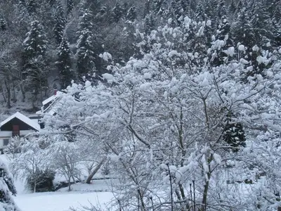 Mehrbettzimmer für 3 Personen (28 m²) in Ettenheimmünster 5/10