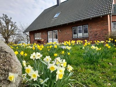 Mehrbettzimmer für 3 Personen (70 m²) in Gelting 10/10