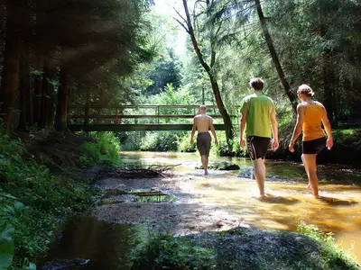 Beim Einfalt B&B | Wandern im Waldviertel