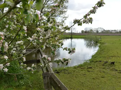 Mehrbettzimmer für 2 Personen (20 m²) in Haselünne 2/8