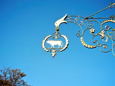 Ox