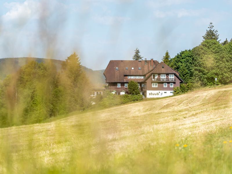 23694875-Mehrbettzimmer-4-Hinterzarten-800x600-1