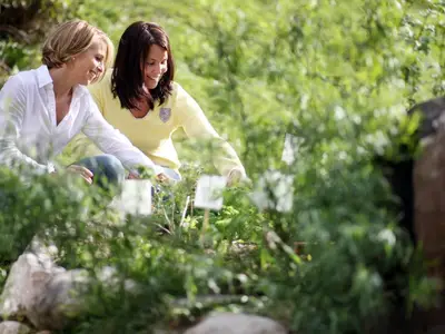 Kräutererlebnisgarten