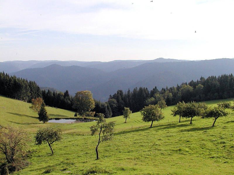 19362056-Mehrbettzimmer-3-Hornberg-800x600-1