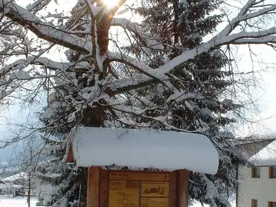 Wintermorgen in Engelshütt