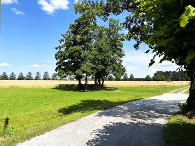 Mehrbettzimmer für 4 Personen (45 m²) in Lauta 9/10