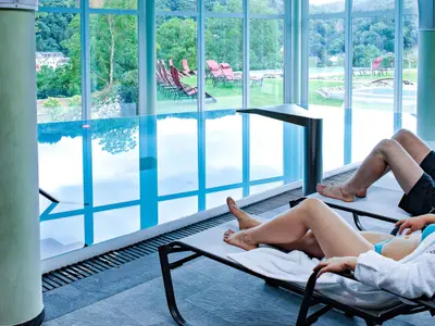 Moselstern****Parkhotel "Krähennest"